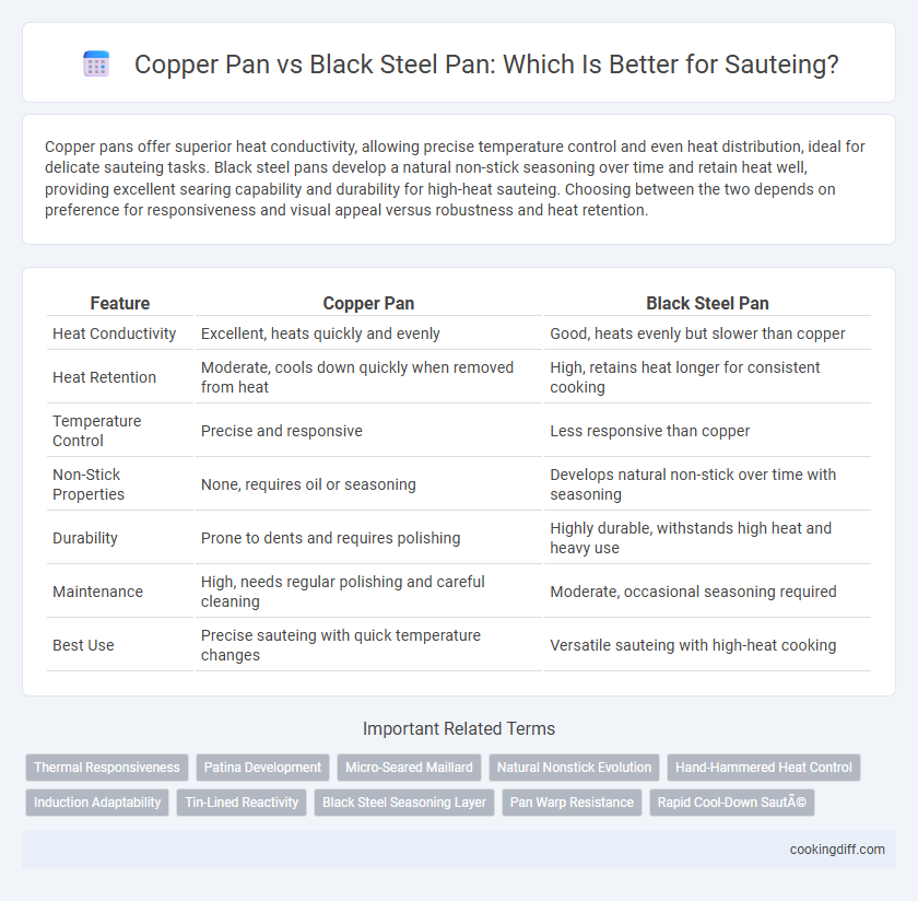 Copper Pan vs Black Steel Pan: Which Is Better for Sauteing?