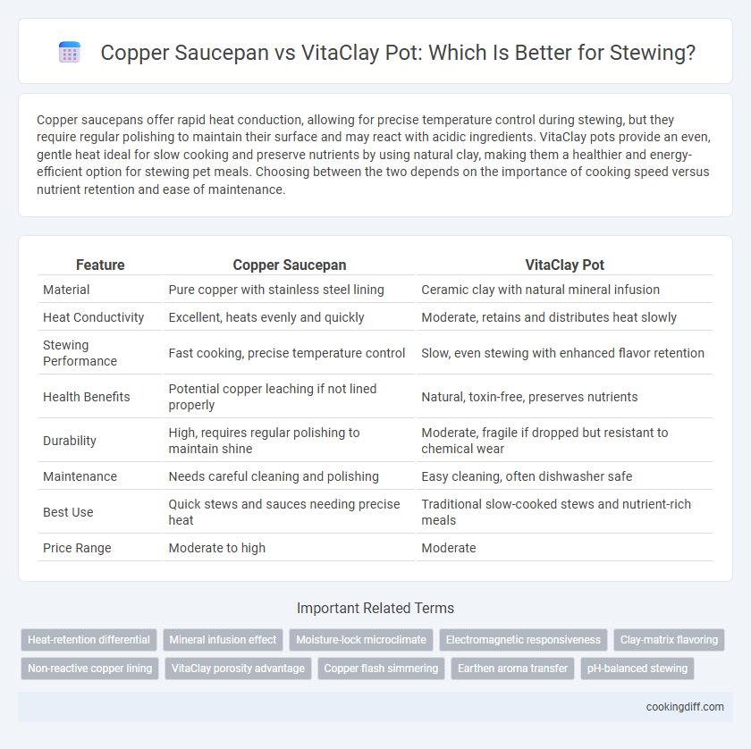 Copper Saucepan vs VitaClay Pot: Which Is Better for Stewing?