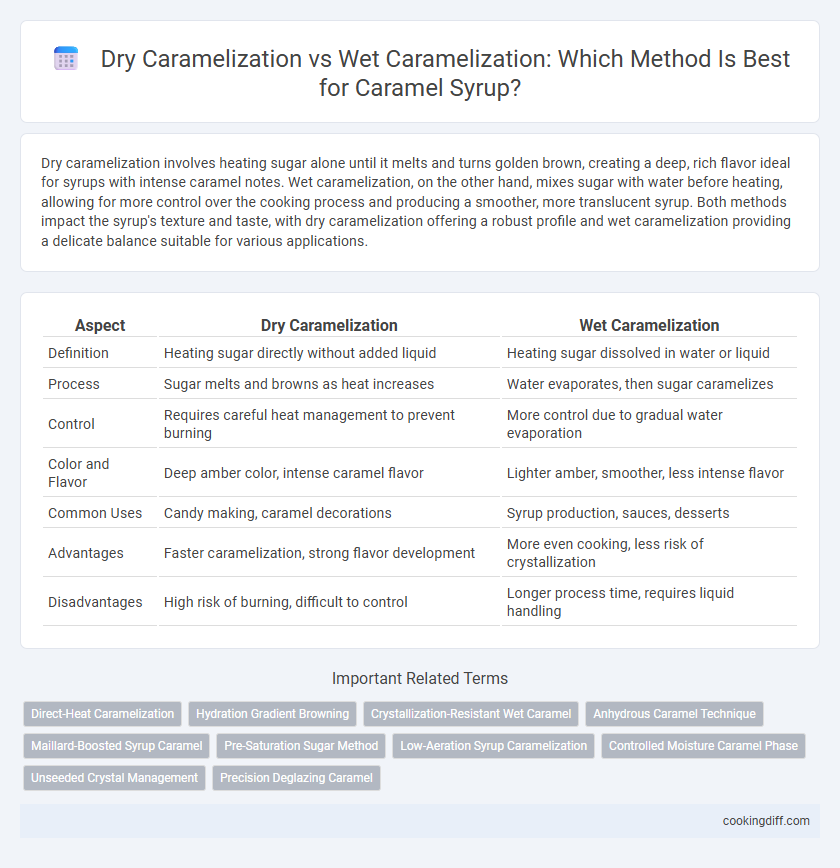 Dry Caramelization vs Wet Caramelization: Which Method Is Best for Caramel Syrup?
