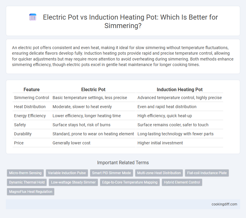 Electric Pot vs Induction Heating Pot: Which Is Better for Simmering?