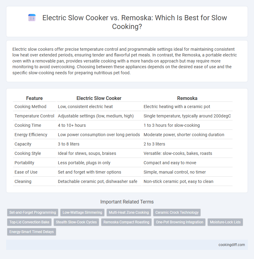 Electric Slow Cooker vs. Remoska: Which Is Best for Slow Cooking?
