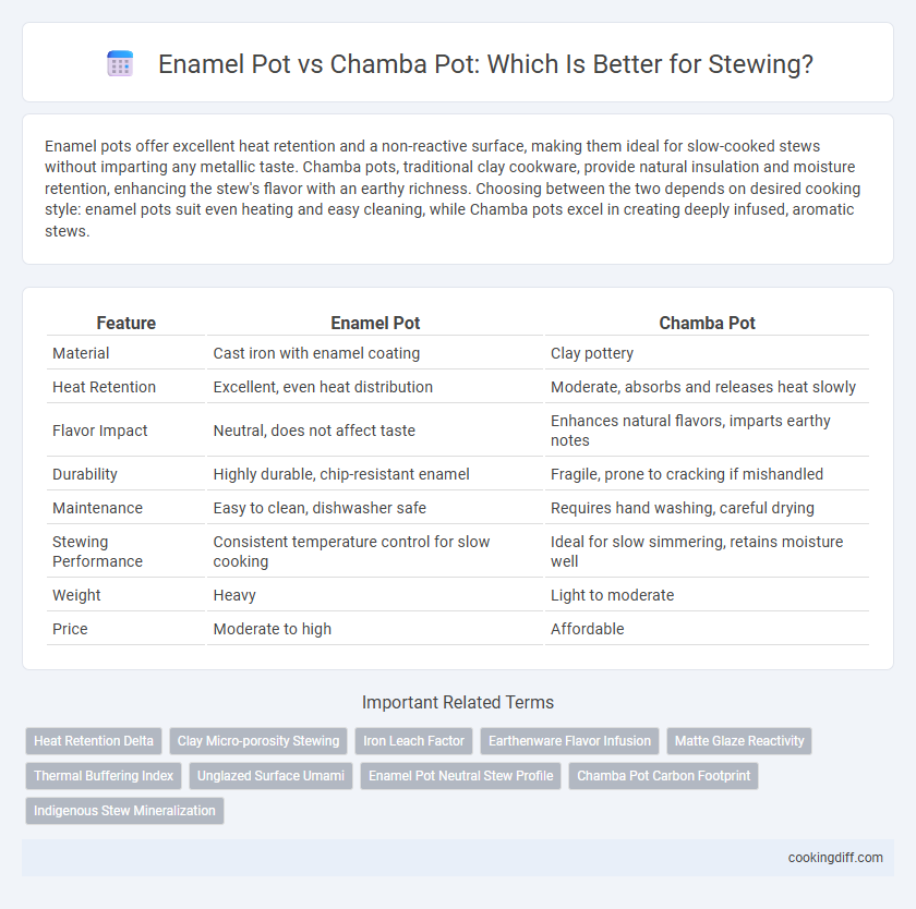 Enamel Pot vs Chamba Pot: Which Is Better for Stewing?
