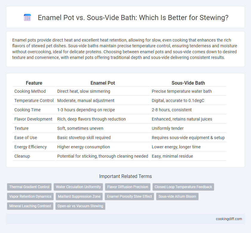 Enamel Pot vs. Sous-Vide Bath: Which Is Better for Stewing?
