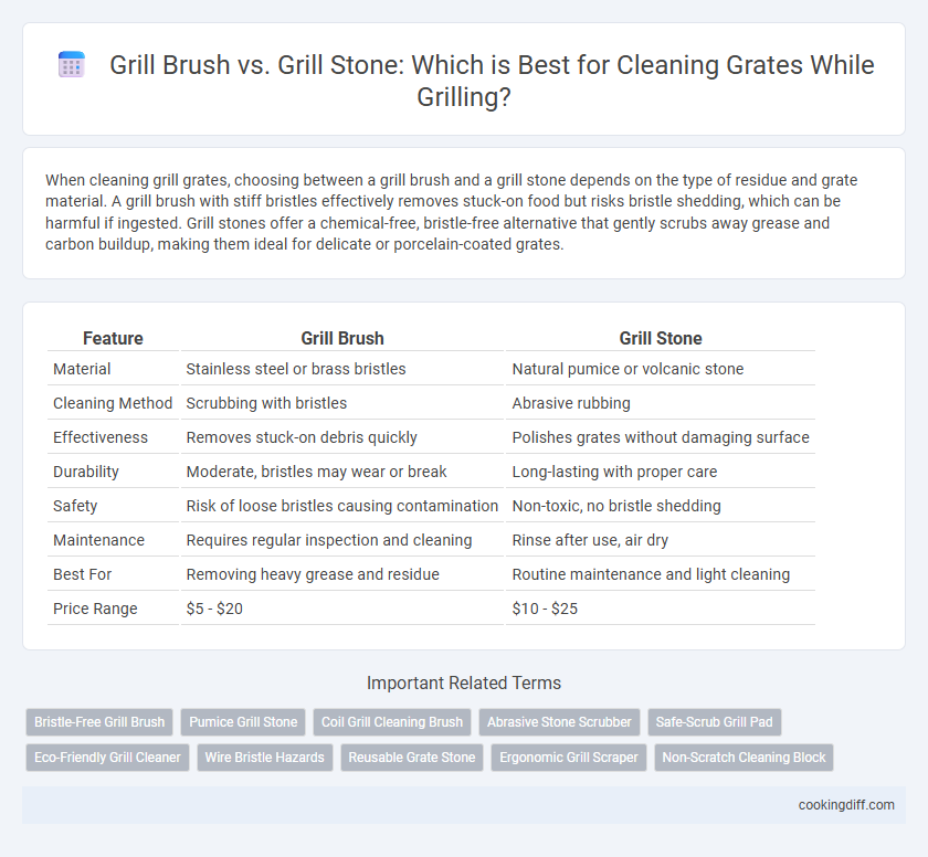 Grill Brush vs. Grill Stone: Which is Best for Cleaning Grates While Grilling?