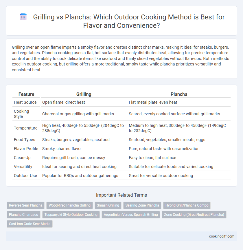Grilling vs Plancha: Which Outdoor Cooking Method is Best for Flavor and Convenience?