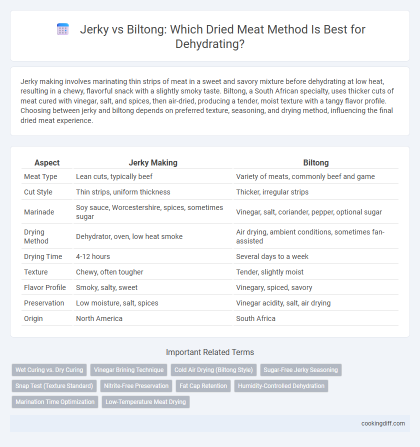 Jerky vs Biltong: Which Dried Meat Method Is Best for Dehydrating?