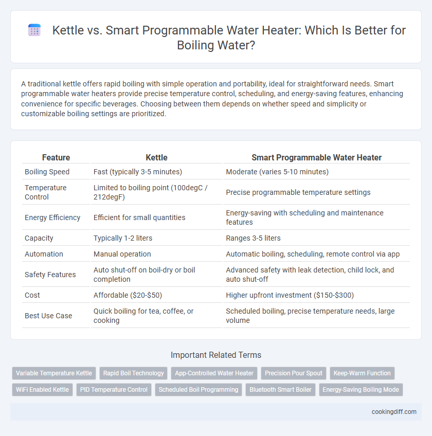 Kettle vs. Smart Programmable Water Heater: Which Is Better for Boiling Water?