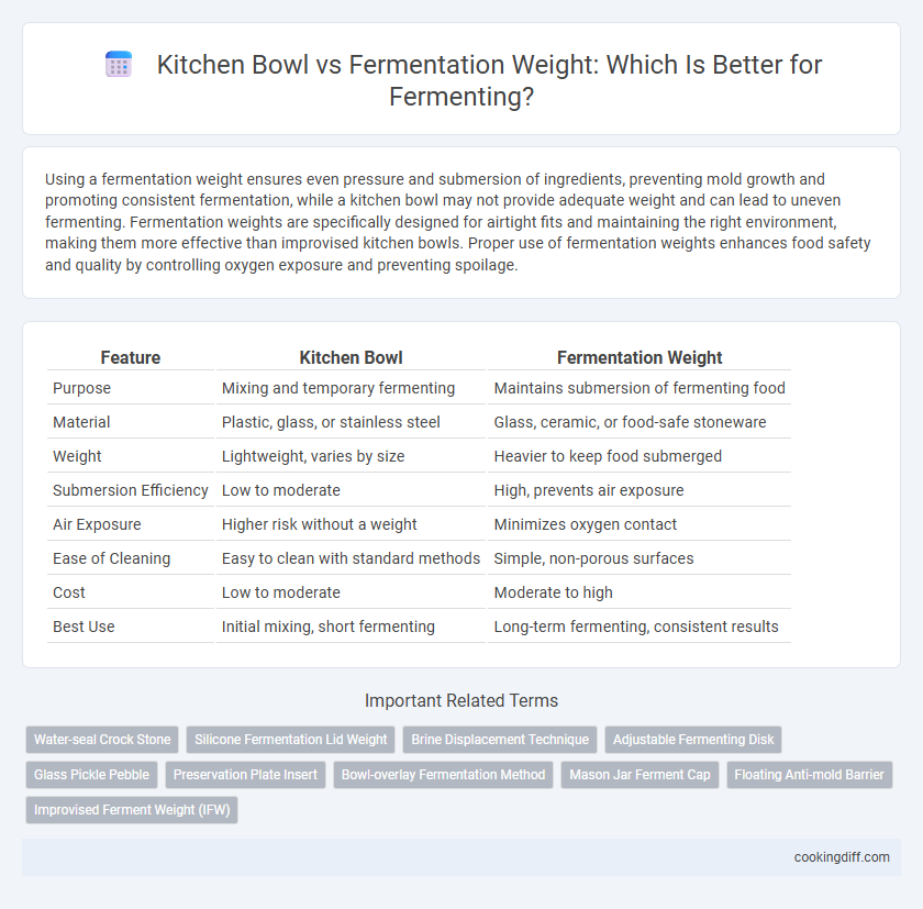 Kitchen Bowl vs Fermentation Weight: Which Is Better for Fermenting?