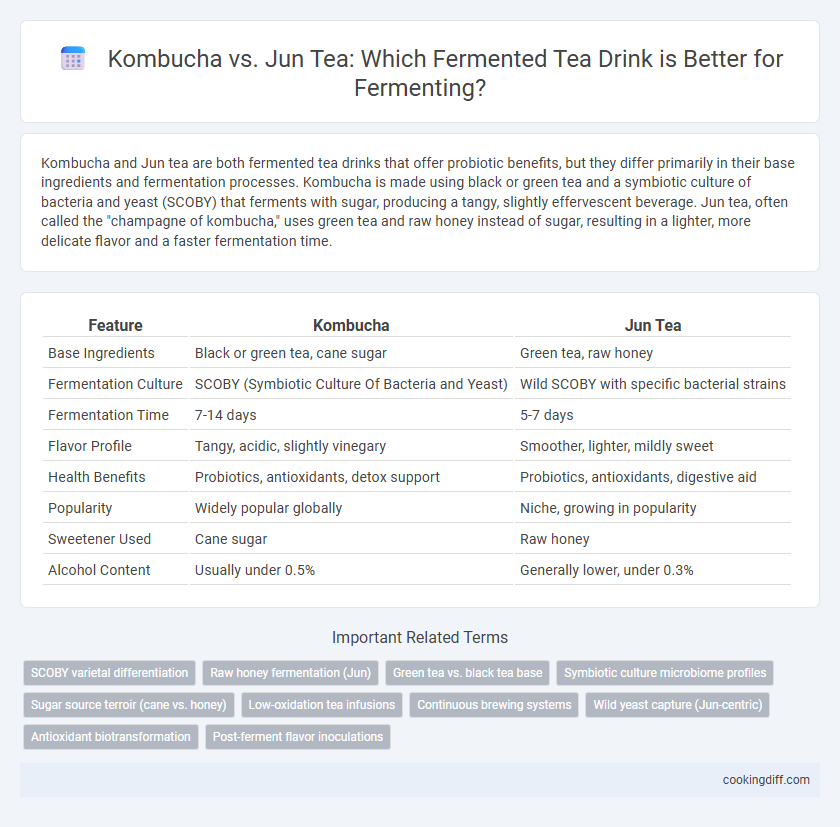 Kombucha vs. Jun Tea: Which Fermented Tea Drink is Better for Fermenting?