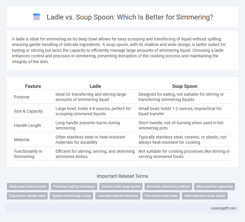 Ladle vs. Soup Spoon: Which Is Better for Simmering?