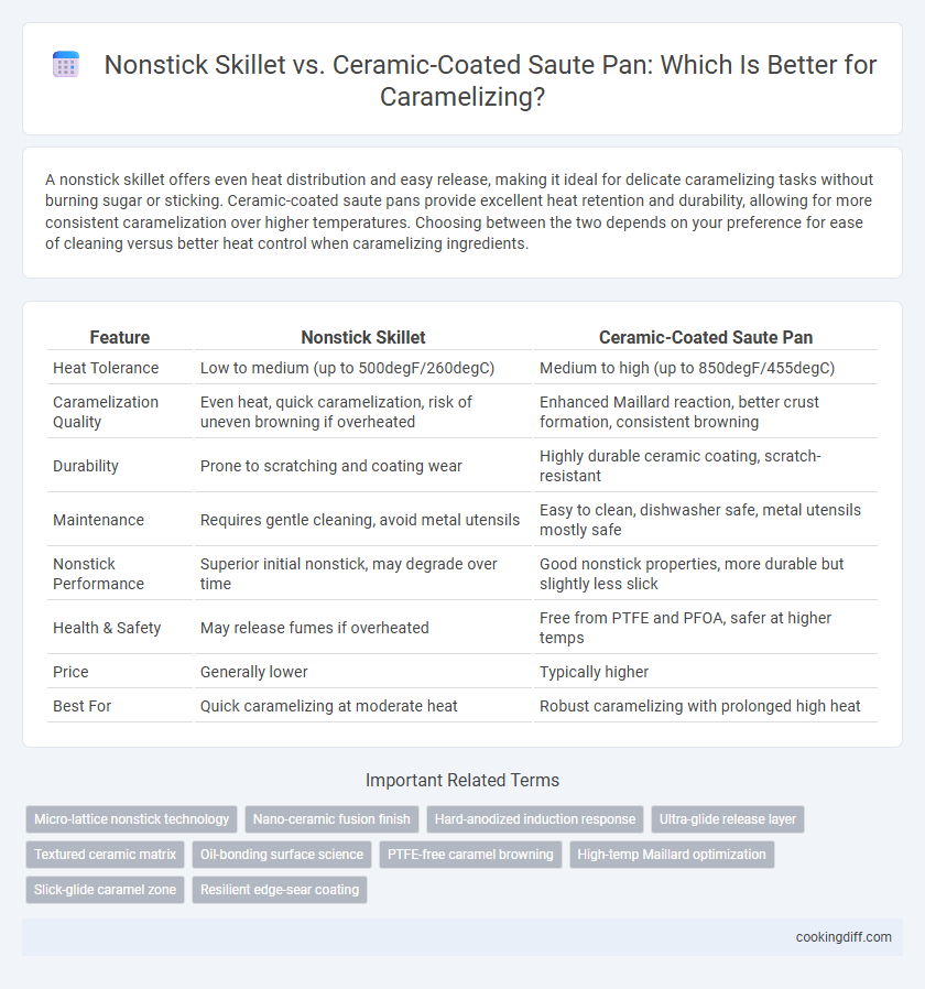 Nonstick Skillet vs. Ceramic-Coated Saute Pan: Which Is Better for Caramelizing?