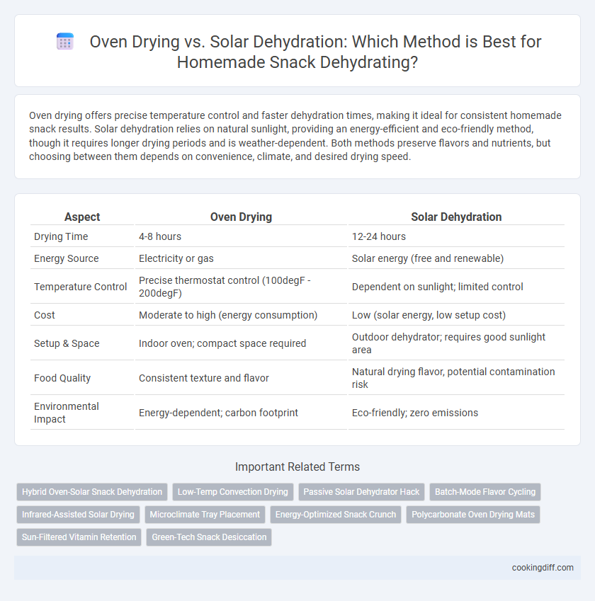Oven Drying vs. Solar Dehydration: Which Method is Best for Homemade Snack Dehydrating?