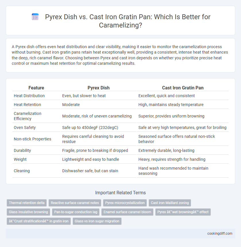 Pyrex Dish vs. Cast Iron Gratin Pan: Which Is Better for Caramelizing?