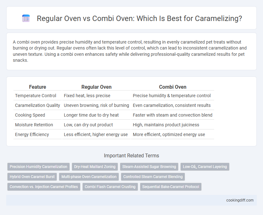 Regular Oven vs Combi Oven: Which Is Best for Caramelizing?