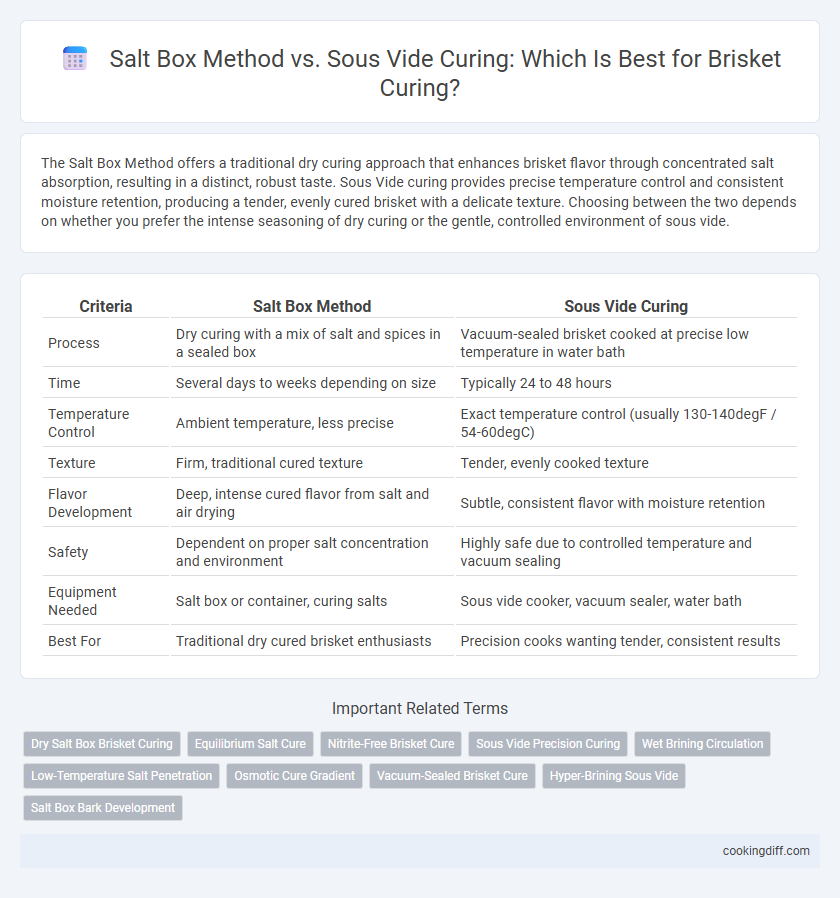Salt Box Method vs. Sous Vide Curing: Which Is Best for Brisket Curing?