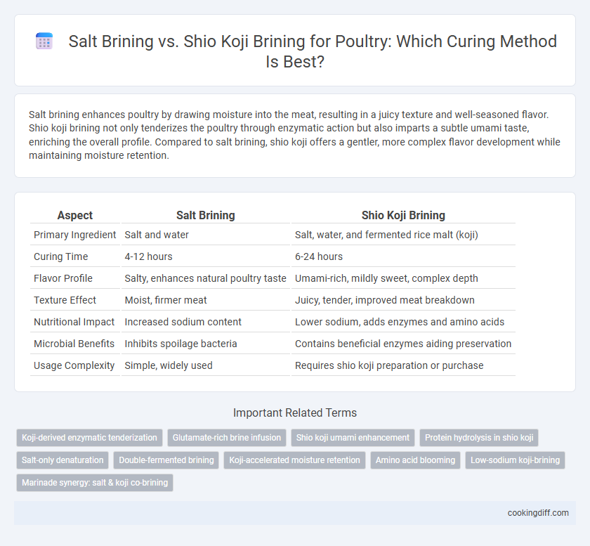 Salt Brining vs. Shio Koji Brining for Poultry: Which Curing Method Is Best?