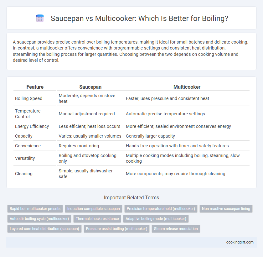 Saucepan vs Multicooker: Which Is Better for Boiling?