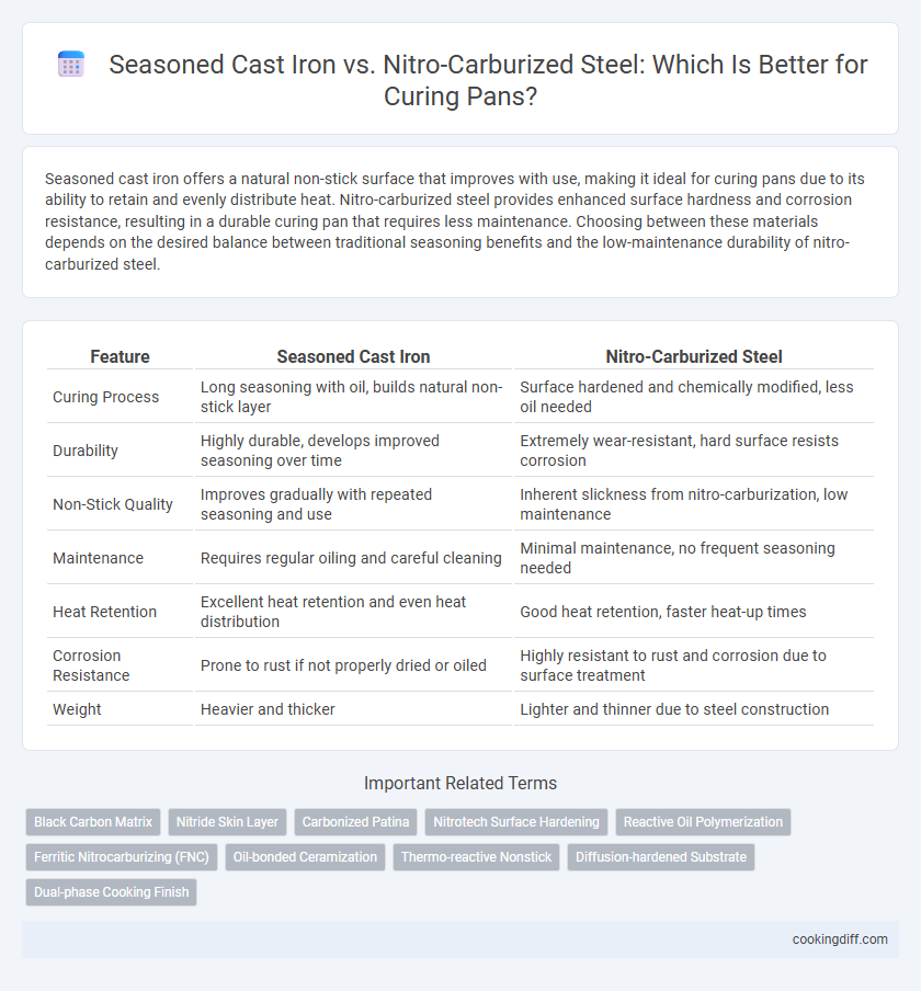 Seasoned Cast Iron vs. Nitro-Carburized Steel: Which Is Better for Curing Pans?