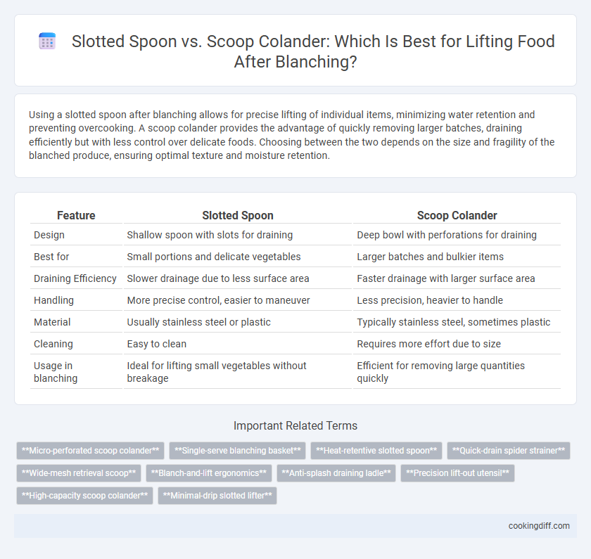 Slotted Spoon vs. Scoop Colander: Which Is Best for Lifting Food After Blanching?