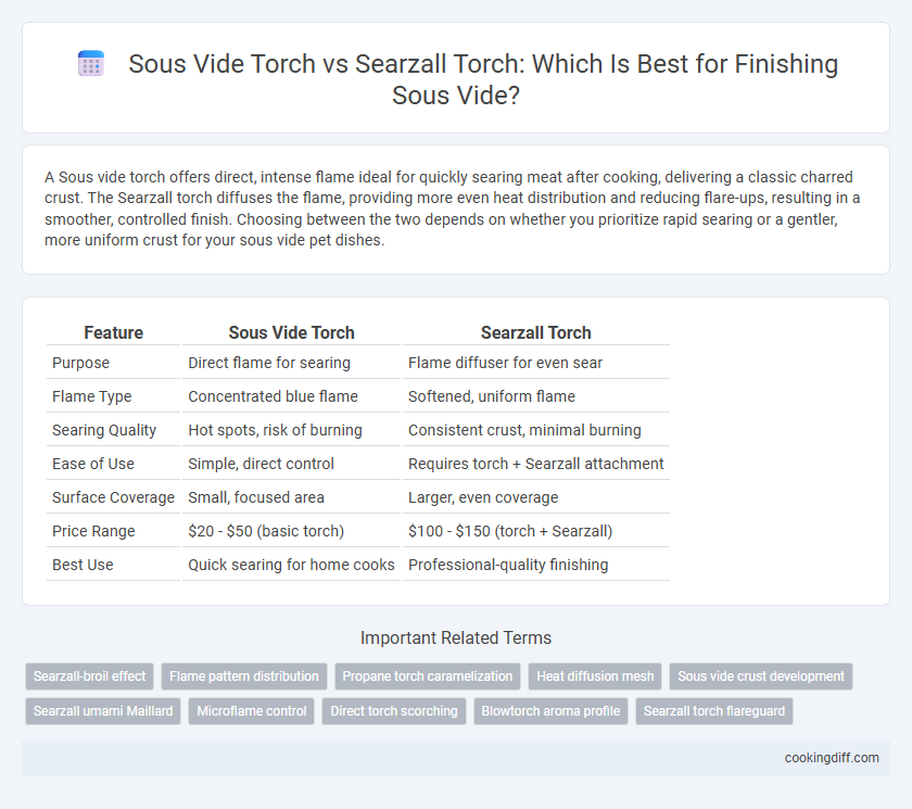 Sous Vide Torch vs Searzall Torch: Which Is Best for Finishing Sous Vide?