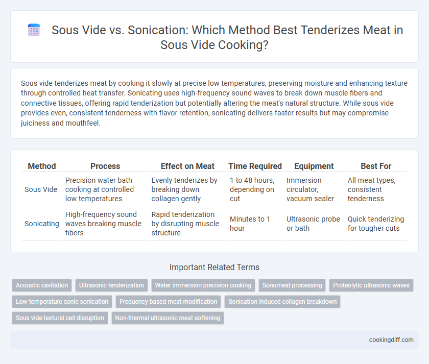 Sous Vide vs. Sonication: Which Method Best Tenderizes Meat in Sous Vide Cooking?