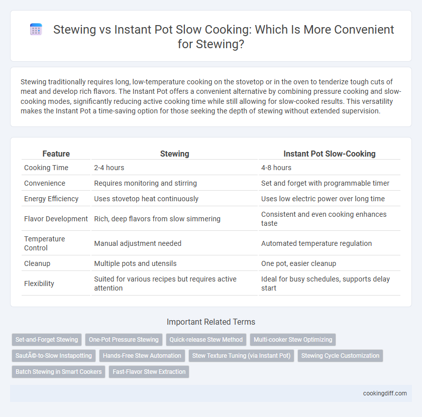 Stewing vs Instant Pot Slow Cooking: Which Is More Convenient for Stewing?