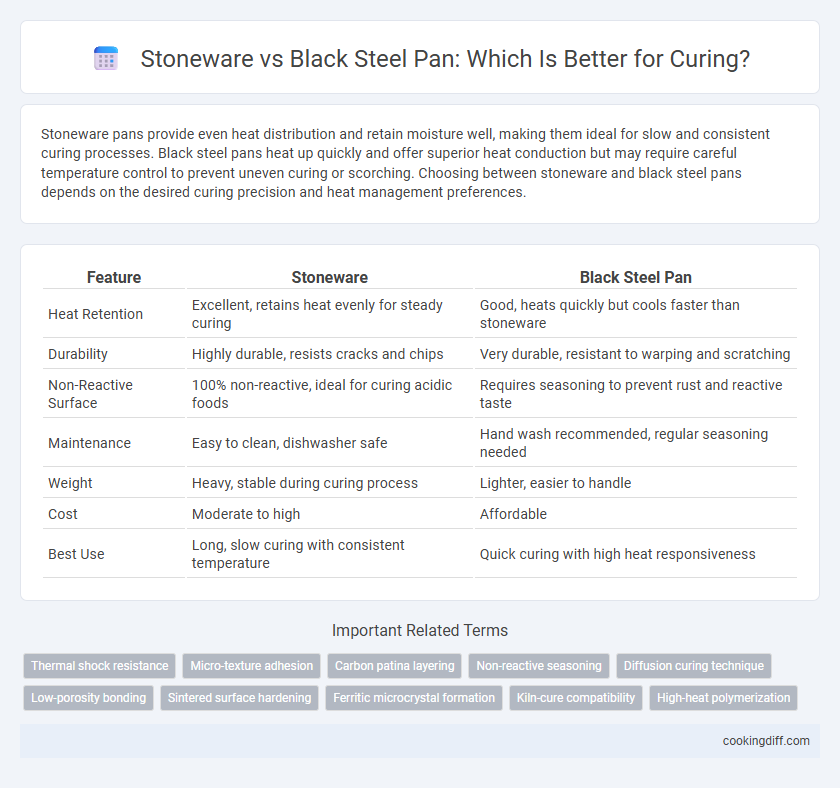 Stoneware vs Black Steel Pan: Which Is Better for Curing?