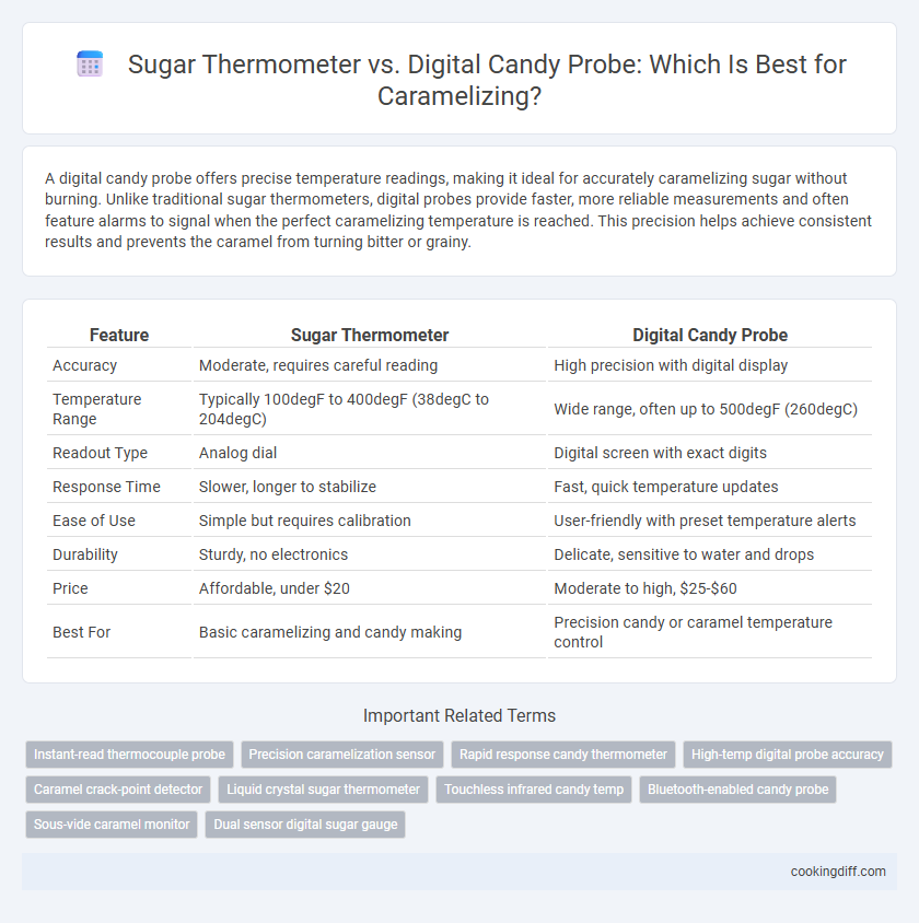 Sugar Thermometer vs. Digital Candy Probe: Which Is Best for Caramelizing?