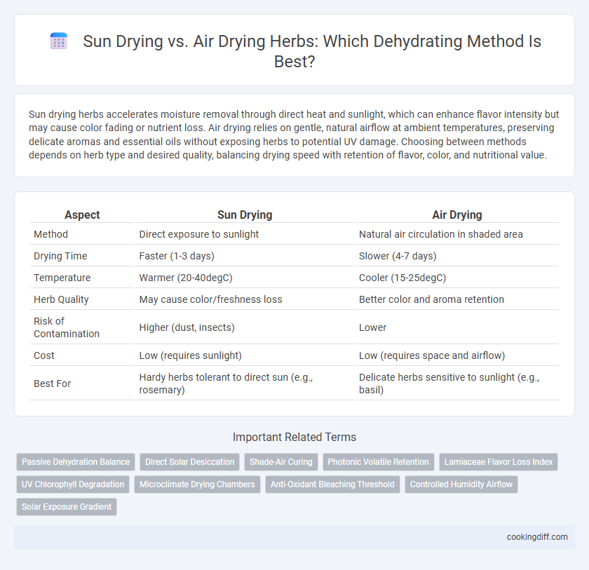Sun Drying vs. Air Drying Herbs: Which Dehydrating Method Is Best?