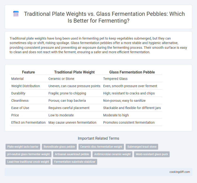 Traditional Plate Weights vs. Glass Fermentation Pebbles: Which Is Better for Fermenting?