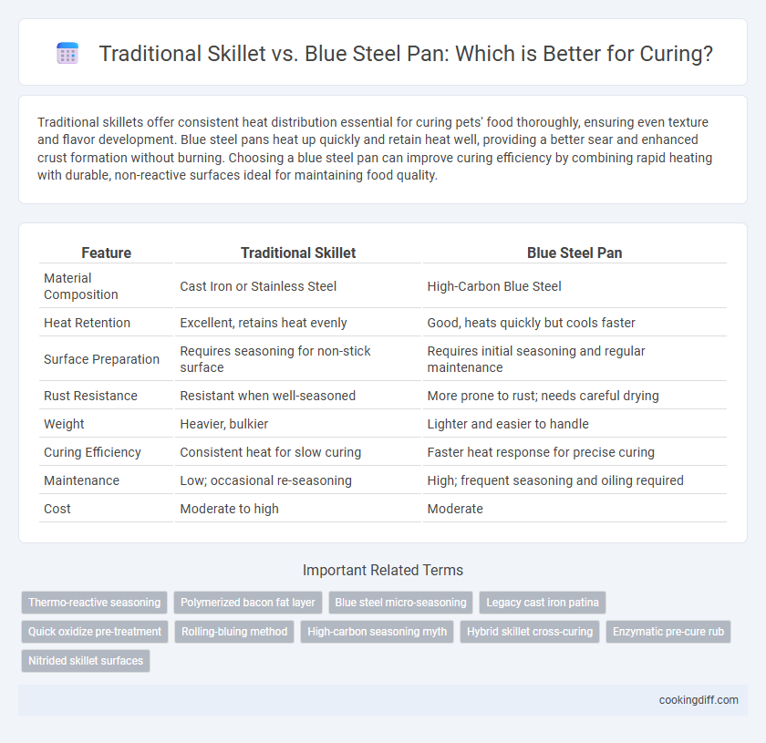Traditional Skillet vs. Blue Steel Pan: Which is Better for Curing?
