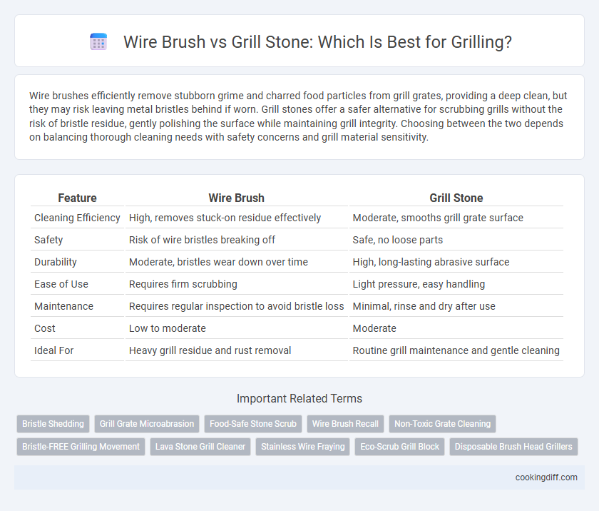 Wire Brush vs Grill Stone: Which Is Best for Grilling?
