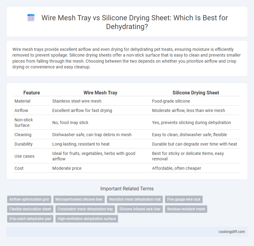 Wire Mesh Tray vs Silicone Drying Sheet: Which Is Best for Dehydrating?