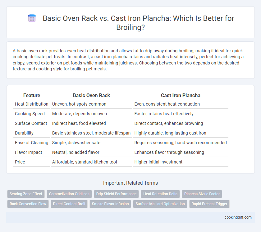 Basic Oven Rack vs. Cast Iron Plancha: Which Is Better for Broiling?