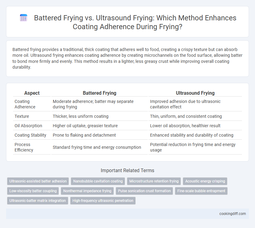 Battered Frying vs. Ultrasound Frying: Which Method Enhances Coating Adherence During Frying?