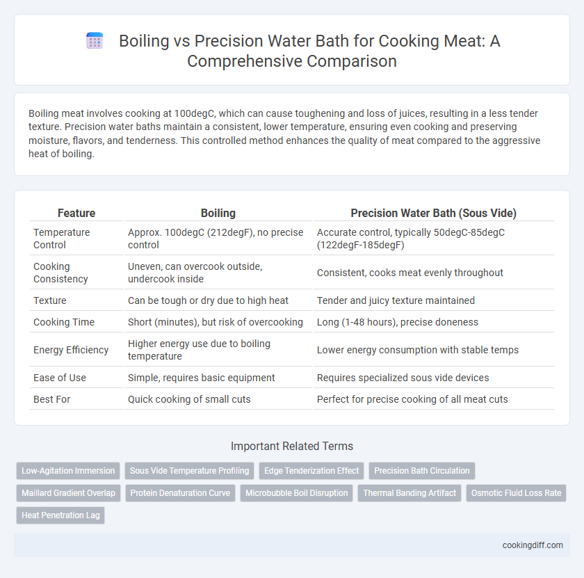 Boiling vs Precision Water Bath for Cooking Meat: A Comprehensive Comparison