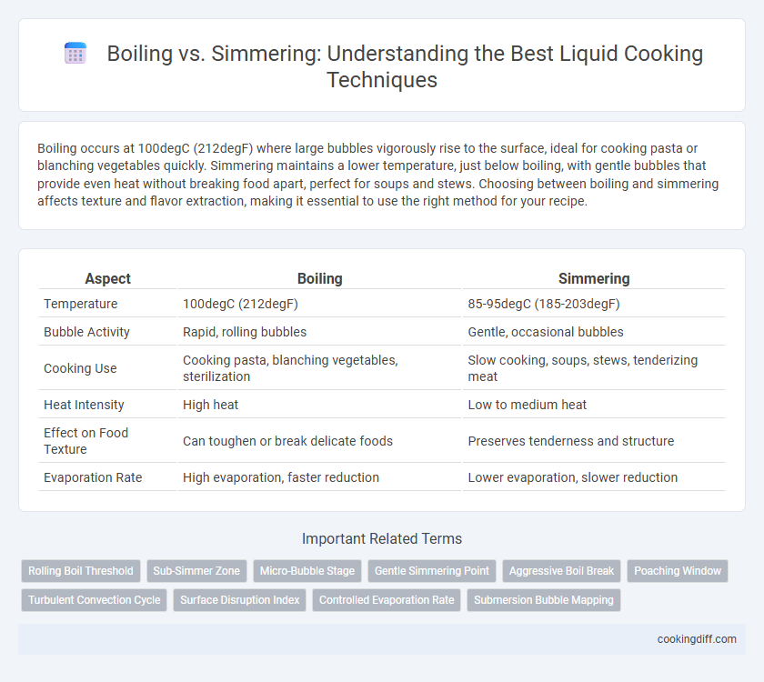 Boiling vs. Simmering: Understanding the Best Liquid Cooking Techniques