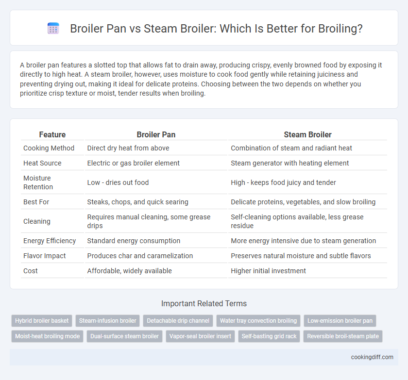 Broiler Pan vs Steam Broiler: Which Is Better for Broiling?