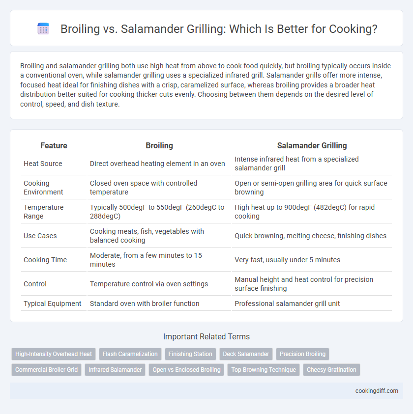 Broiling vs. Salamander Grilling: Which Is Better for Cooking?