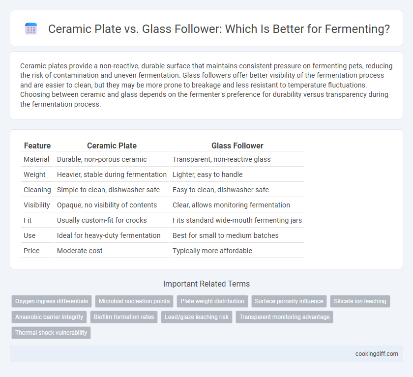 Ceramic Plate vs. Glass Follower: Which Is Better for Fermenting?