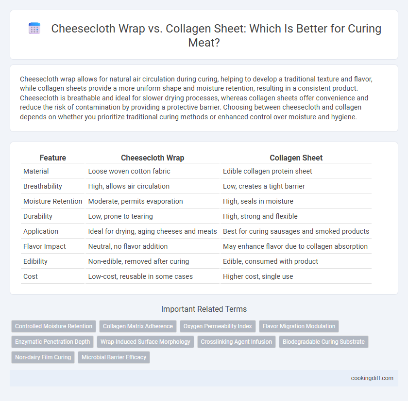 Cheesecloth Wrap vs. Collagen Sheet: Which Is Better for Curing Meat?