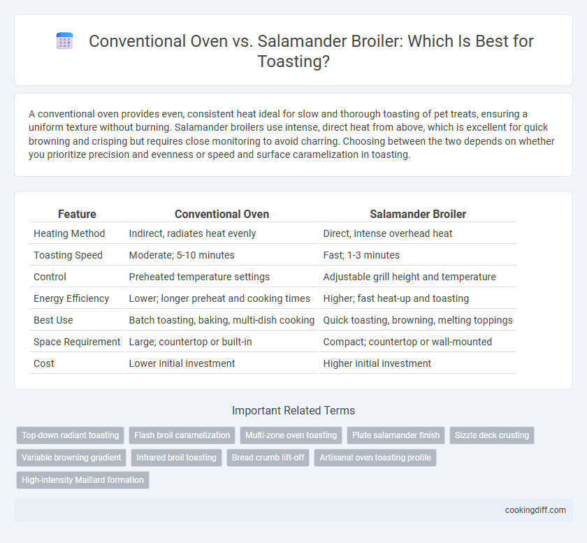 Conventional Oven vs. Salamander Broiler: Which Is Best for Toasting?