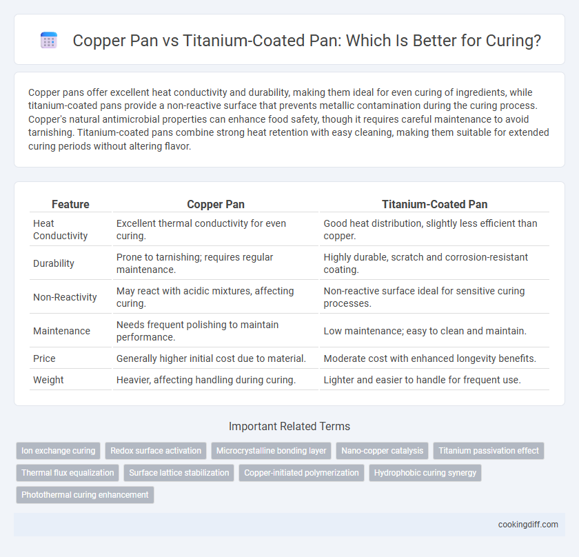 Copper Pan vs Titanium-Coated Pan: Which Is Better for Curing?