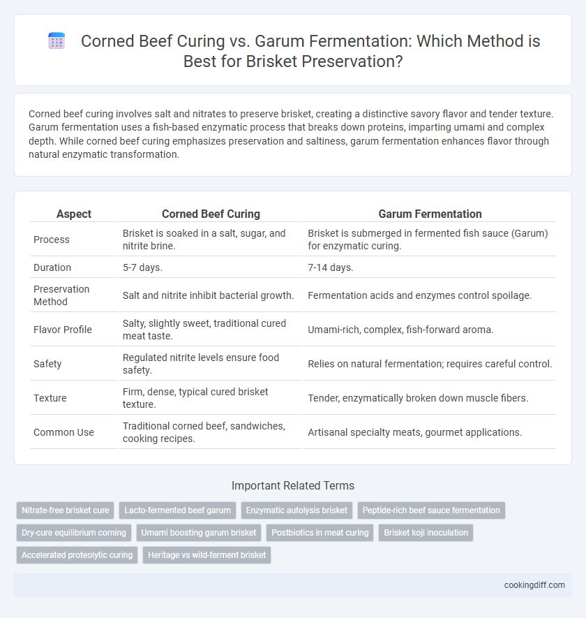 Corned Beef Curing vs. Garum Fermentation: Which Method is Best for Brisket Preservation?