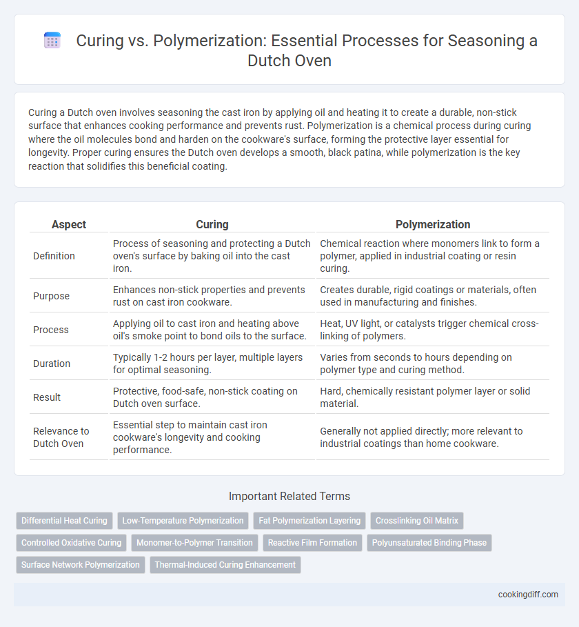 Curing vs. Polymerization: Essential Processes for Seasoning a Dutch Oven