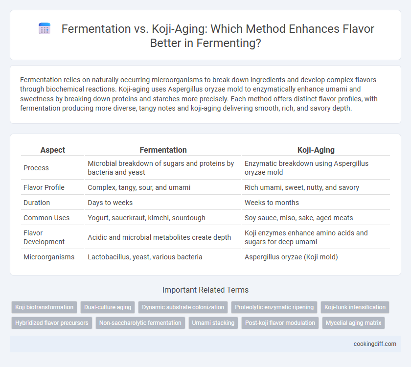 Fermentation vs. Koji-Aging: Which Method Enhances Flavor Better in Fermenting?