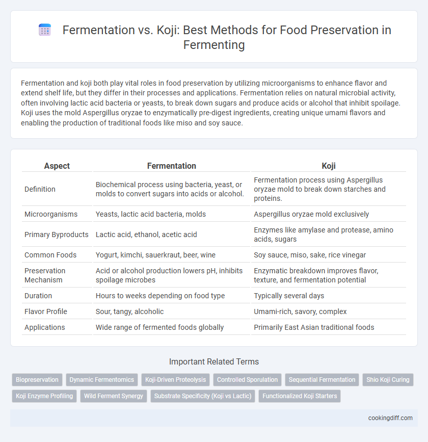 Fermentation vs. Koji: Best Methods for Food Preservation in Fermenting