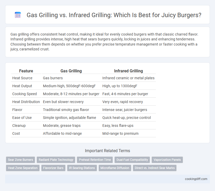 Gas Grilling vs. Infrared Grilling: Which Is Best for Juicy Burgers?