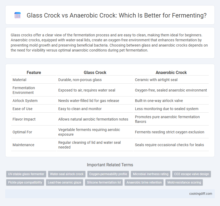 Glass Crock vs Anaerobic Crock: Which Is Better for Fermenting?