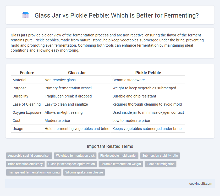Glass Jar vs Pickle Pebble: Which Is Better for Fermenting?